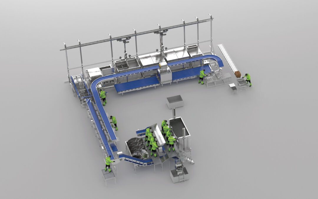 Complete on shore crab processing factory